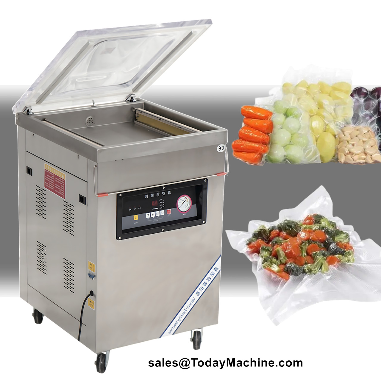 Vertikale Externe Vakuum-Beute – Food Vacuum Sealer Machine Bewertung und Preis